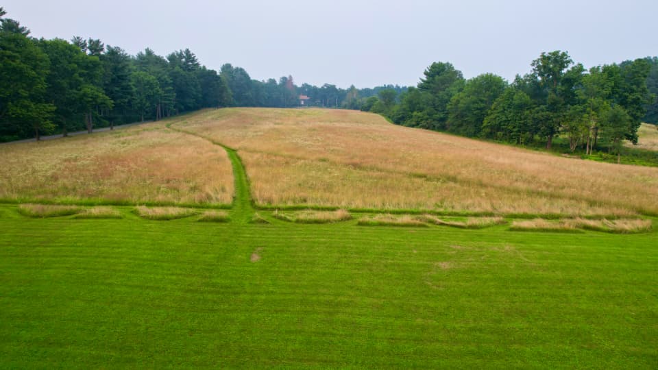 Freshly mowed lawn with crisp, clean lines